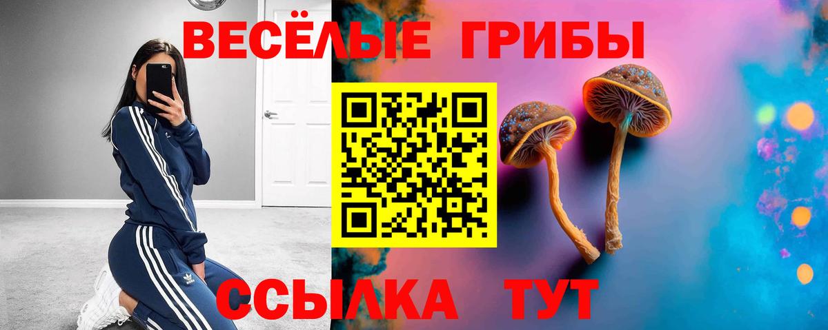 Арзамас  Галлюциногенные грибы прущие грибы  купить  цена  Вход с VPN  Галлюциногенные грибы Magic Shrooms 