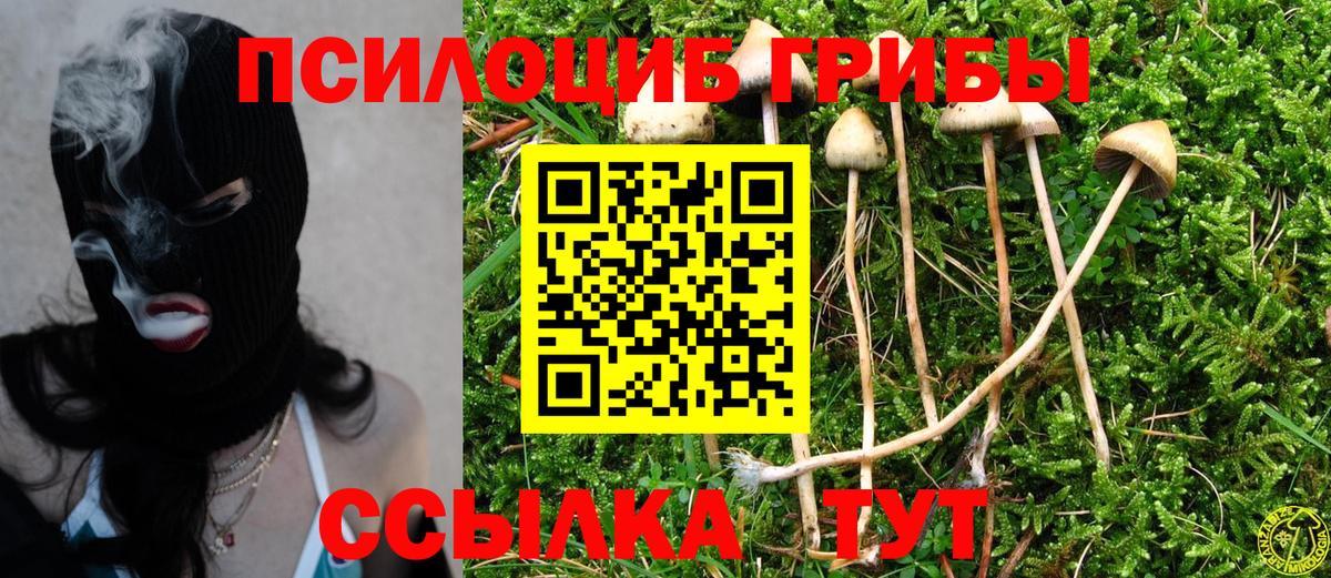 Псилоцибиновые грибы мицелий Арзамас